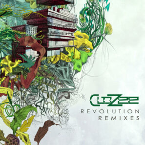 Revolution Remixes album art