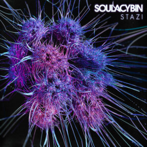 gravitas recordings soulacybin colorado dj album art cover