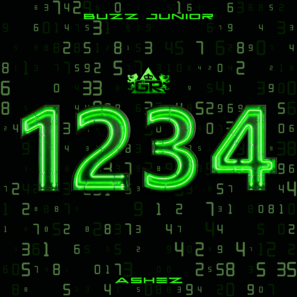 Buzz Junior & ASHEZ - 1234 artwork
